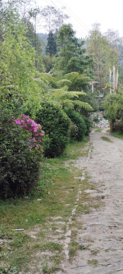 Ifseen Villa Pelling Εξωτερικό φωτογραφία