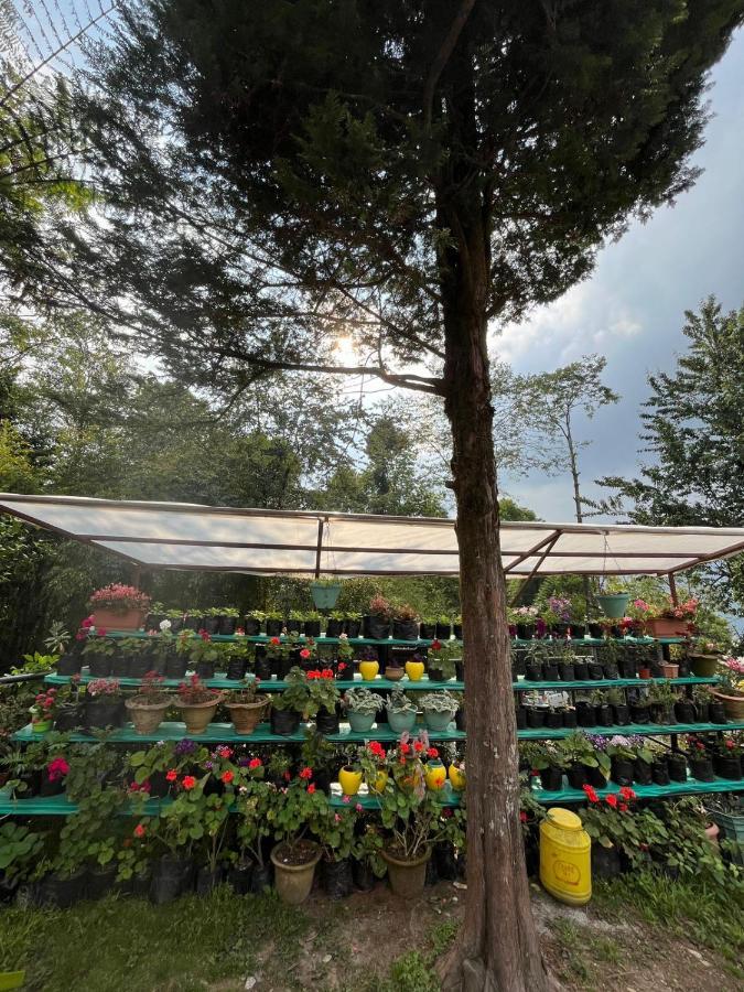 Ifseen Villa Pelling Εξωτερικό φωτογραφία