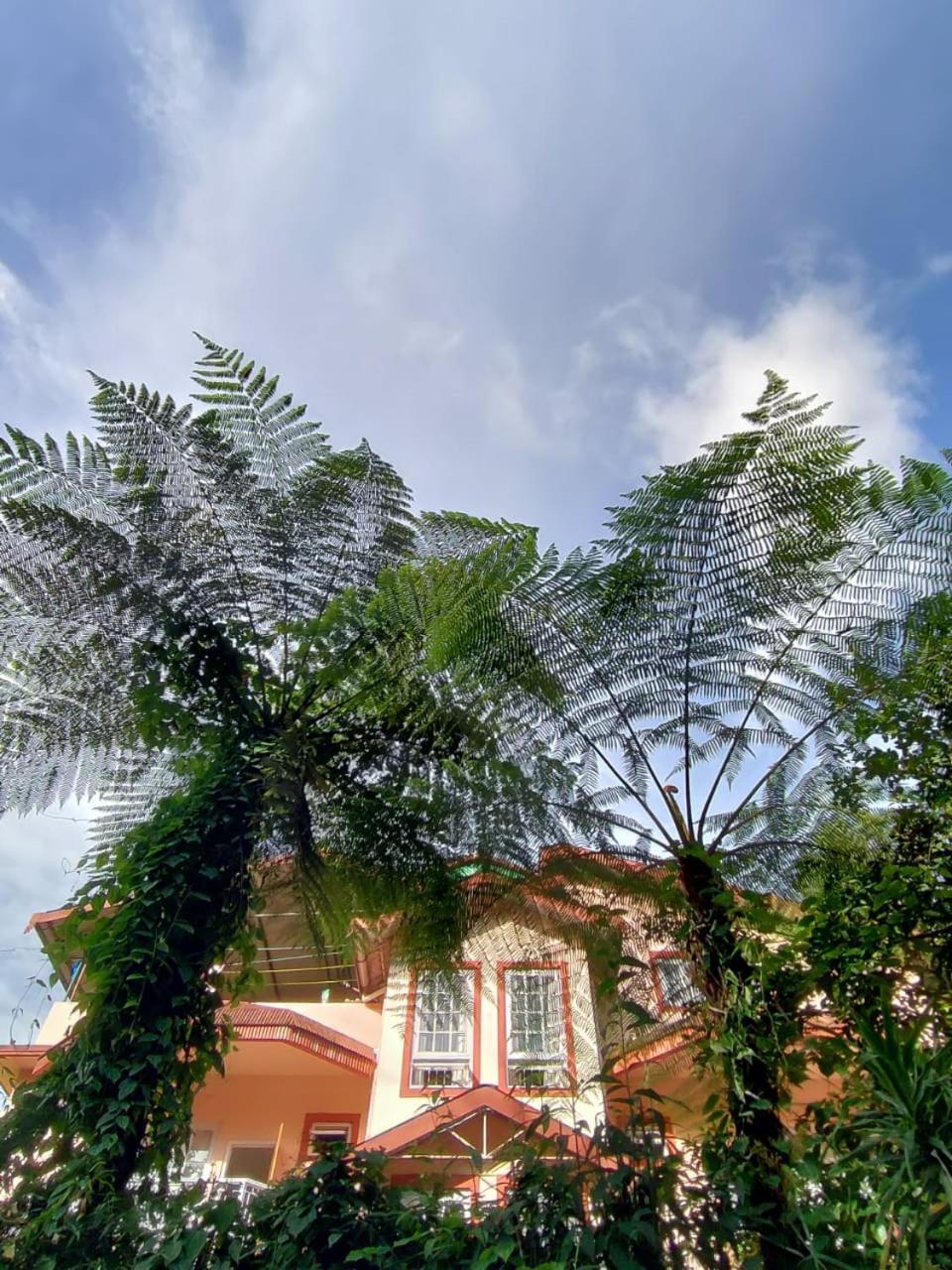 Ifseen Villa Pelling Εξωτερικό φωτογραφία